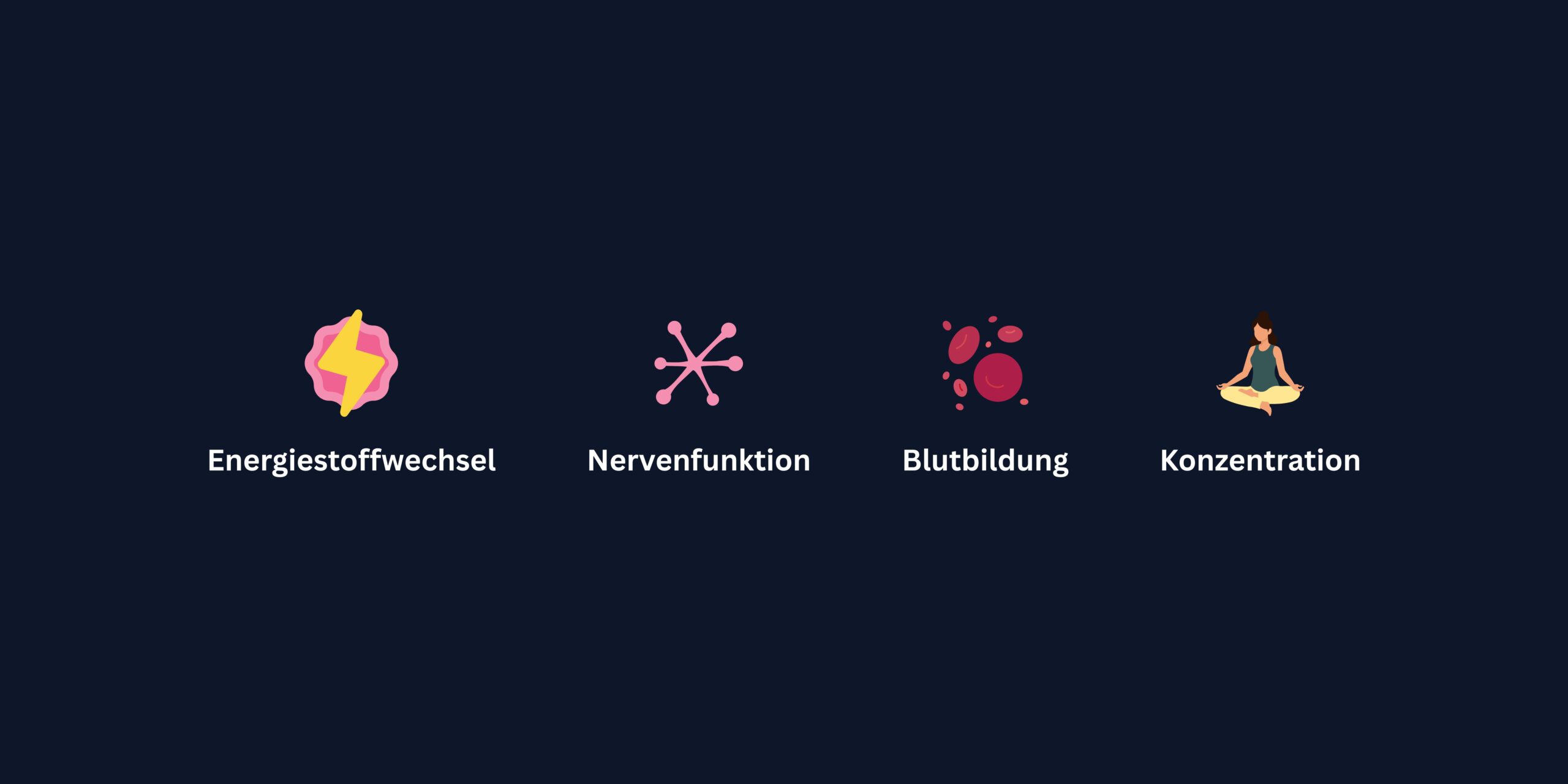 Grafik mit vier farbigen Icons: ein gelbes Blitzsymbol für Energiestoffwechsel, ein neuronähnliches Netzsymbol für Nervenfunktion, rote Blutkörperchen für Blutbildung und eine meditierende Person für Konzentration – dargestellt auf dunklem Hintergrund